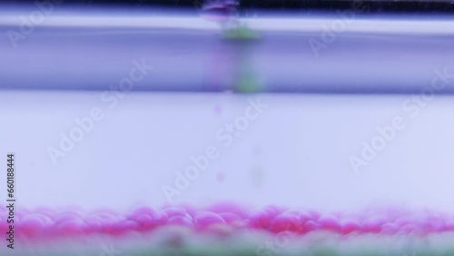 ミクロの世界の液体の泡、液体の泡が活発に沈降する photo