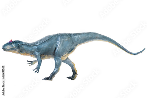 Allosaurus   dinosaur isolated background © meen_na