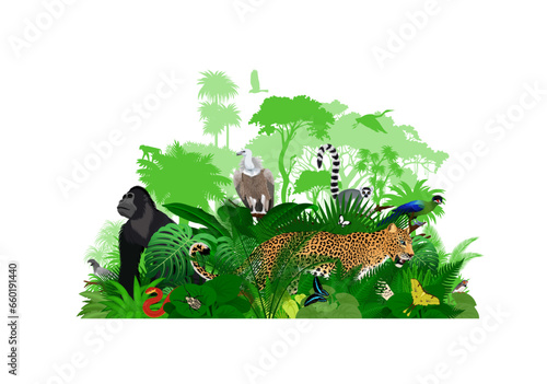 Vector Africa tropical jungle rainforest illustration with animals.	