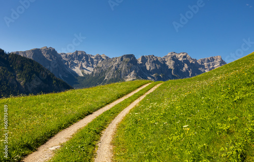 Spectacular view of lush green alpine meadows and forests on slopes of Dolomite mountains with dramatic rocky summits on sunny summer day, Italy..