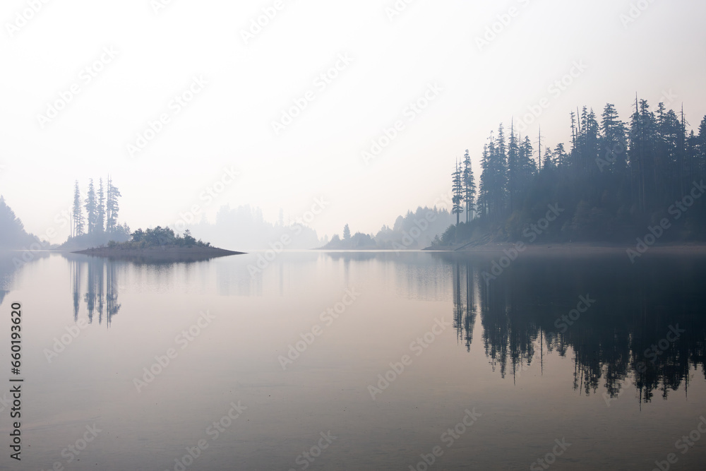 Fototapeta premium misty morning on the lake