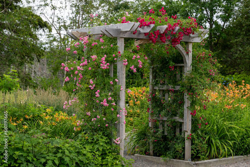 An outdoor wooden curved shaped archway or arbor surrounded by a lush green garden.  The park has birch trees, climbing red roses, orange lily flowers, and vibrant green shrubs in a botanical park.  photo
