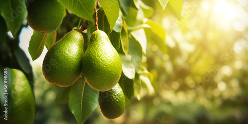 pear on tree  nut  green  isolated  ripe  pear  nature  food  fruit  branch  generative AI