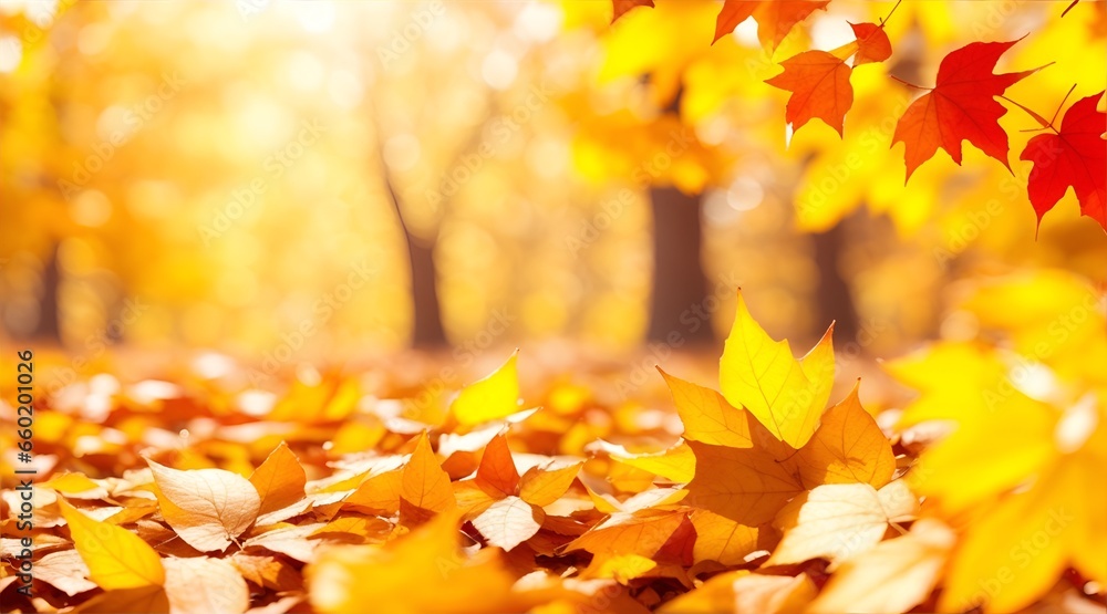 Beautiful autumn background with gold leaves and bokeh sunshine, bokeh and glow. Falling leaves natural background.