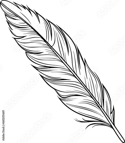 Canvas Print Outline Feather for coloring page