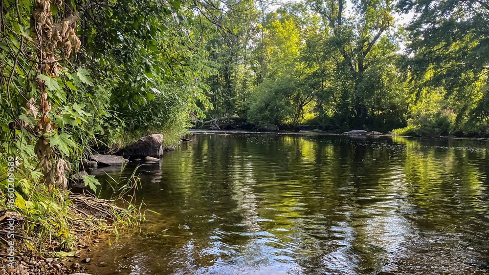 Little Wolf River in Symco Wisconsin on a Summer Day