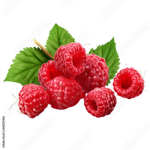 Raspberry  Sweet fruit  3d realistic  32k resolution  best quality  isolate on transparent background