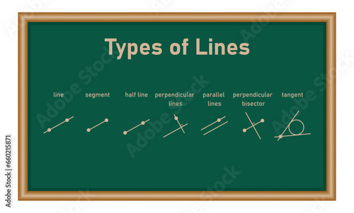 Types of lines. Line,segment, half line, perpendicular lines, parallel lines, perpendicular bisector and tangent. Vector illustration isolated on chalkboard.