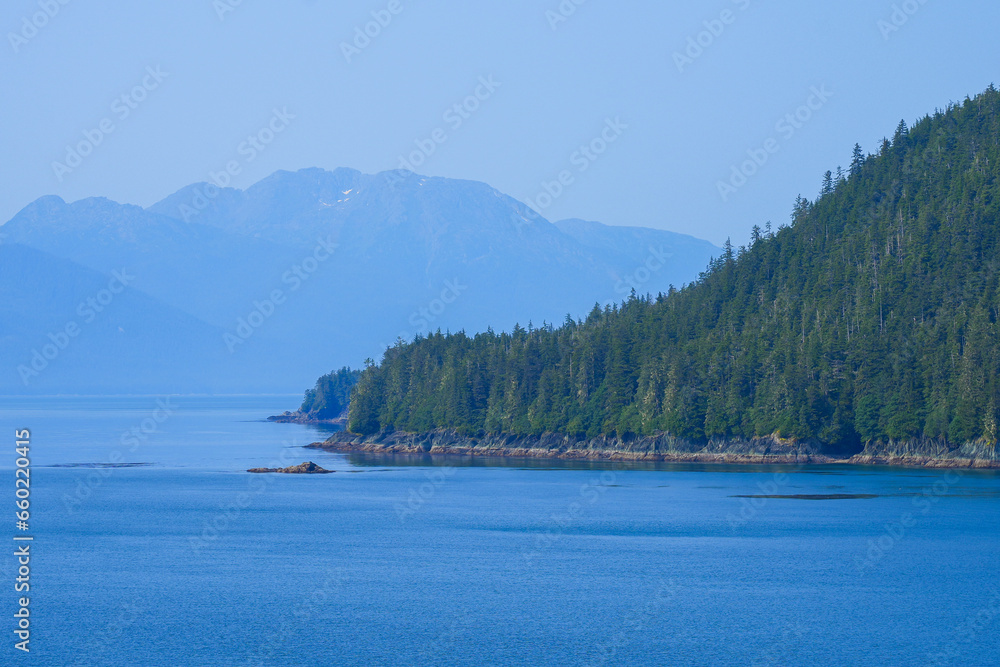 Arctic forest along the shore of Tracy Arm Fjord near Juneau in southeastern Alaska, USA Arctic forest along the shore of Tracy Arm Fjord near Juneau in southeastern Alaska, USA