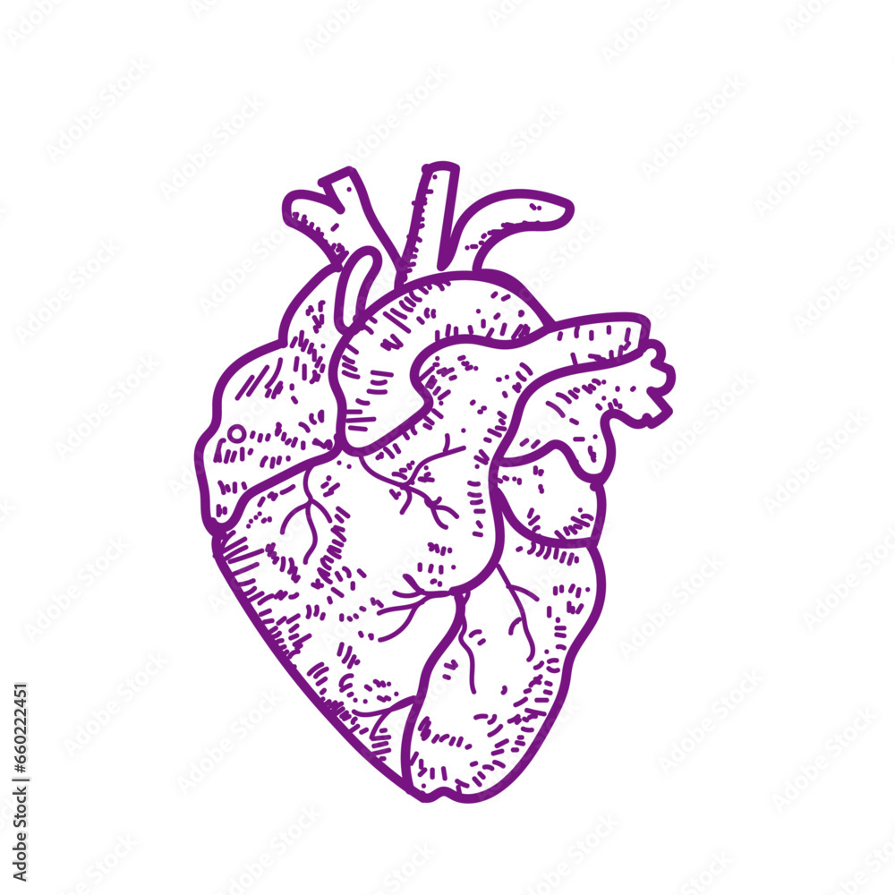 heart vector image illustration heart vector image illustration