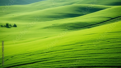 high-angle view of lush green fields, countryside's verdant landscape