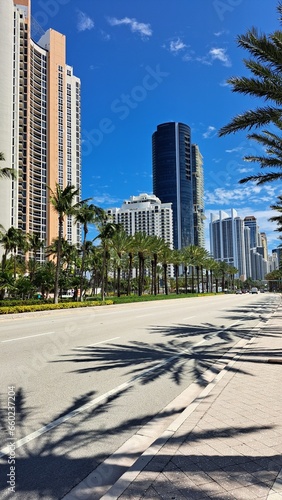 Sunny day in the city of Florida. Sunny Isles Beach, East of Miami. Tall buildings and palm trees are along the road.  © Yelena