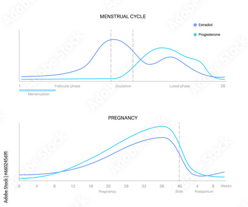 Hormones in pregnancy