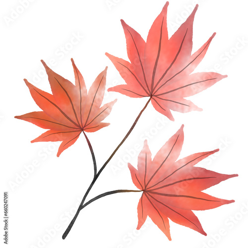 red maple autumn level elements paint