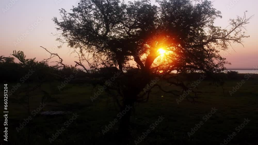 Static Shot Of Epic Sunset On Lake Through Tree With Rustic Bridge, San Bernardino, Paraguay Static Shot Of Epic Sunset On Lake Through Tree With Rustic Bridge, San Bernardino, Paraguay