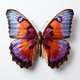 beautiful purple and orange butterfly flying over white background, top view, flat lay.