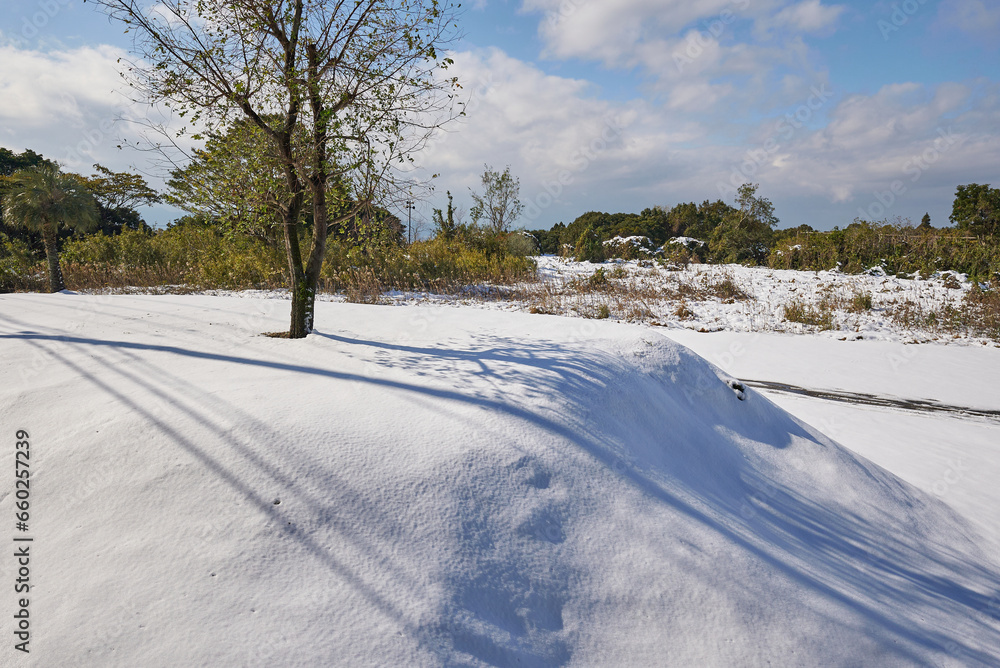 Obraz premium ふかふかの新雪