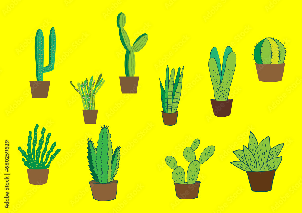 Fototapeta premium Cactus 