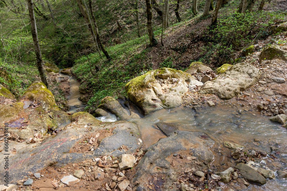 Spring, a stream in a wooded area, a stream of water rushes to a large river. Spring, a stream in a wooded area, a stream of water rushes to a large river.