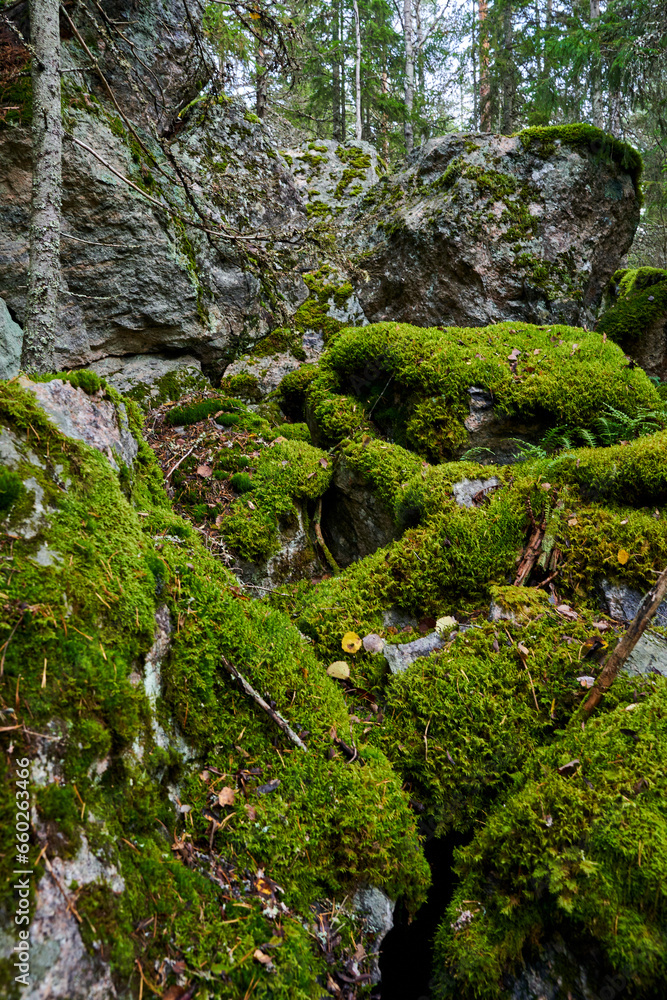 moss covered rocks moss covered rocks