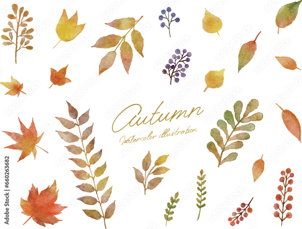 秋で紅葉した葉っぱやモミジ等の水彩画イラストセット 秋で紅葉した葉っぱやモミジ等の水彩画イラストセット