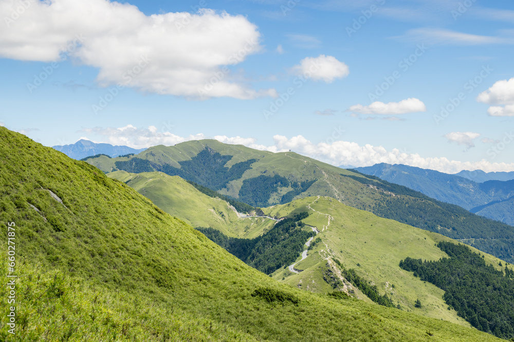 Obraz premium Hiking trail in Hehuanshan mountain in Taiwan