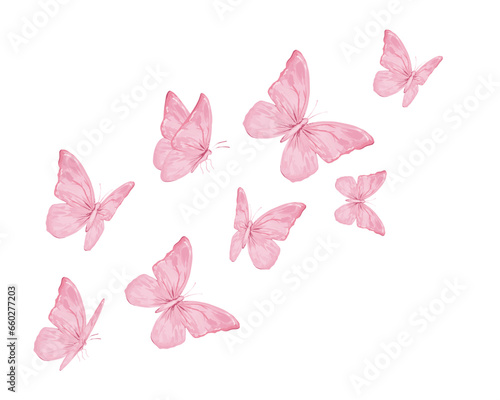 set of butterflies isolated on white 
