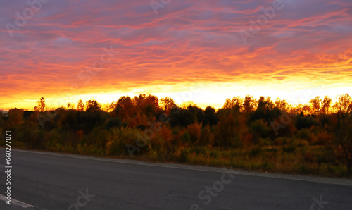 秋の夕焼け風景（Autumn sunset）- 街道（Street）