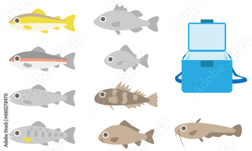 淡水魚セット