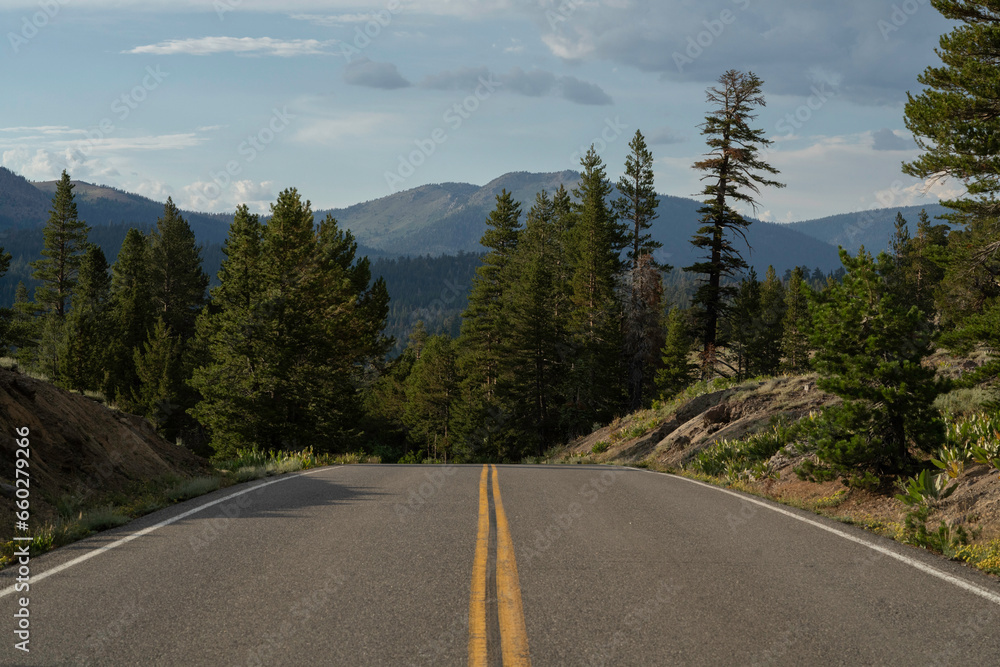 Paved mountain road in the summer.  Sierra Nevada Mountains.  