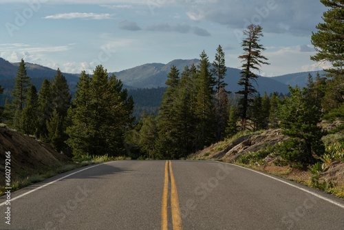 Paved mountain road in the summer. Sierra Nevada Mountains. 