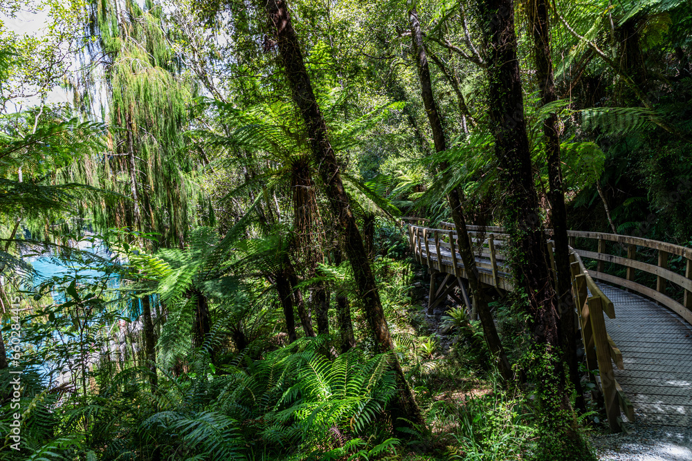 Obraz premium Hokitika Gorge in New Zealand.