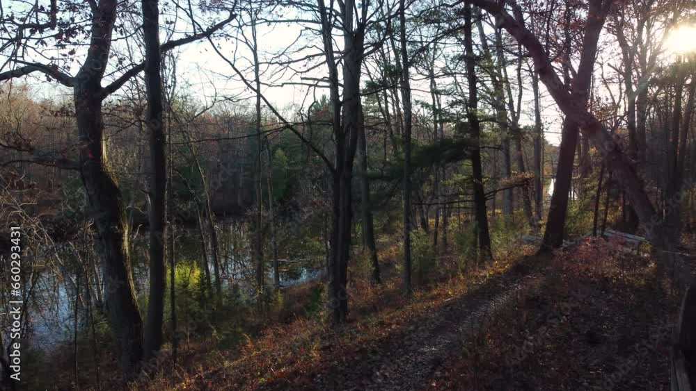 Sunshine illuminates a track though a picturesque forest on the banks of a river
Sunshine illuminates a track though a picturesque forest on the banks of a river