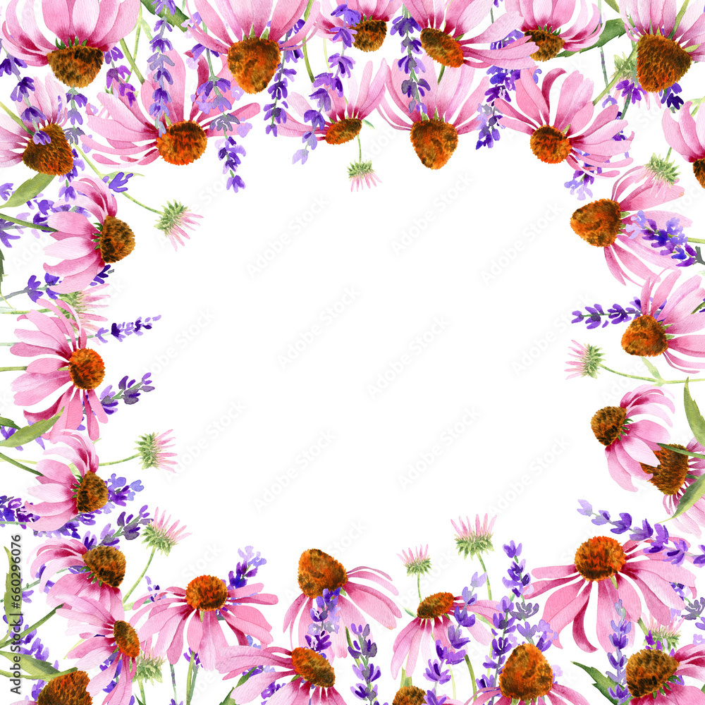 Fototapeta premium Watercolor pink echinacea flowers isolated. Hand painted illustration with elegant garden pink daisies flowers to design invitations, postcards and other print