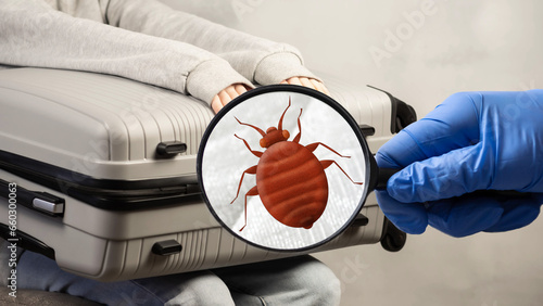 Fotografia Bedbugs in a suitcase with things