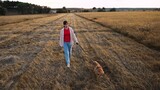 Careful woman walks cocker spaniel dog in dry field with mown grass at sunset