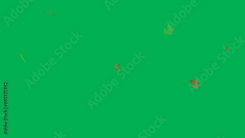 Videos of dry falling leaves are suitable for the autumn theme.