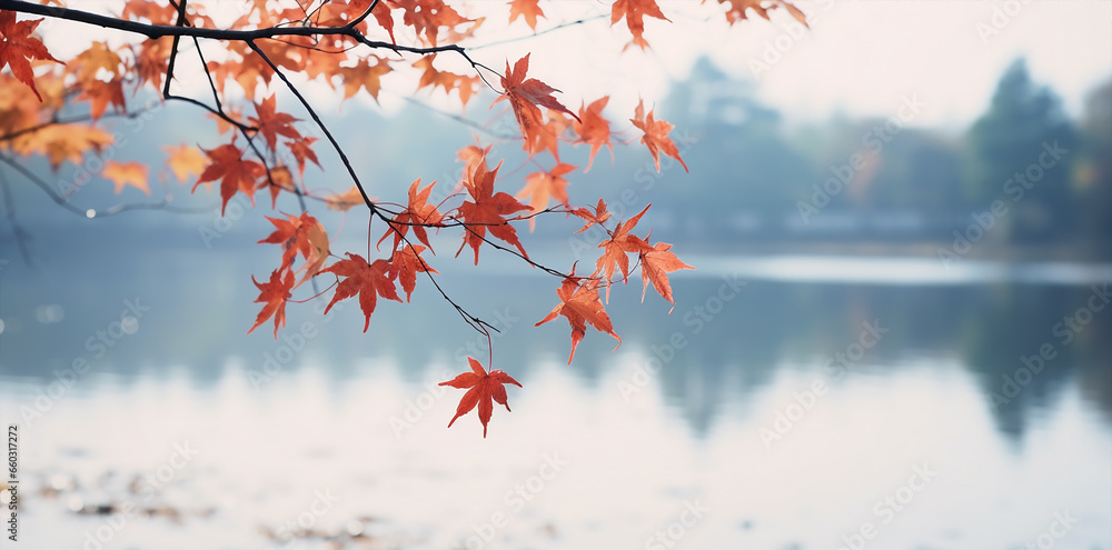 red orange autumn maple leaves scene in a ligt fall atmosphere
