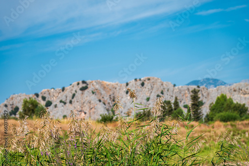Blue sky with lush greenery with beautiful rocky mountains in the background