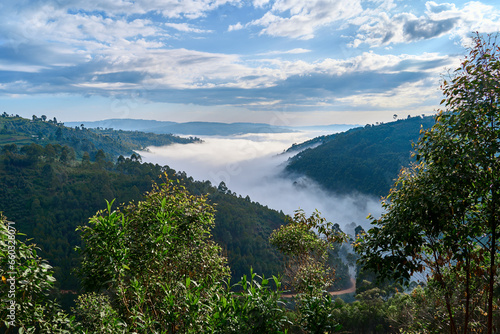 Morning mist in the hills outside Kibale, Uganda photo