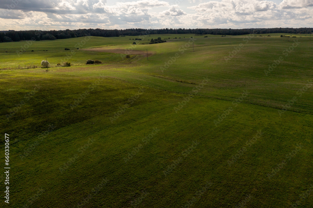 Drone photography of green meadow