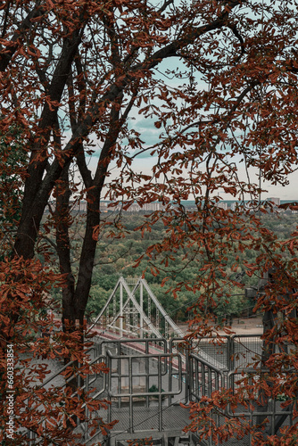 a bridge can be seen through the autumn tree photo