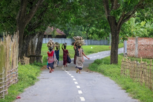 village woman carrying wood in their head.this photo was taken from Chittagong, Bangladesh.
