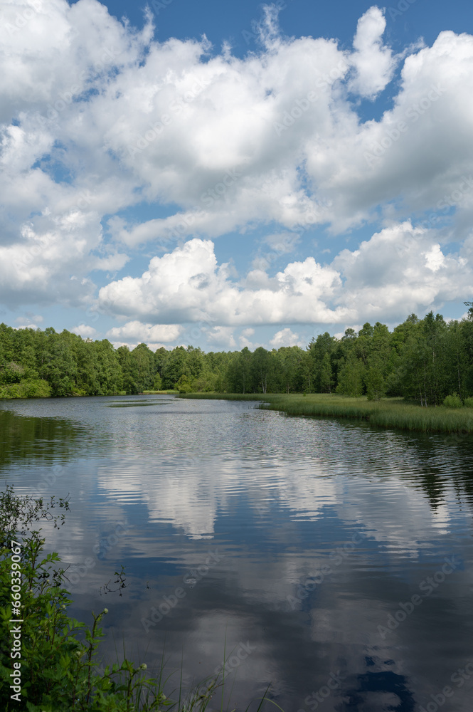 Lake in green nature with blue sky and white clouds