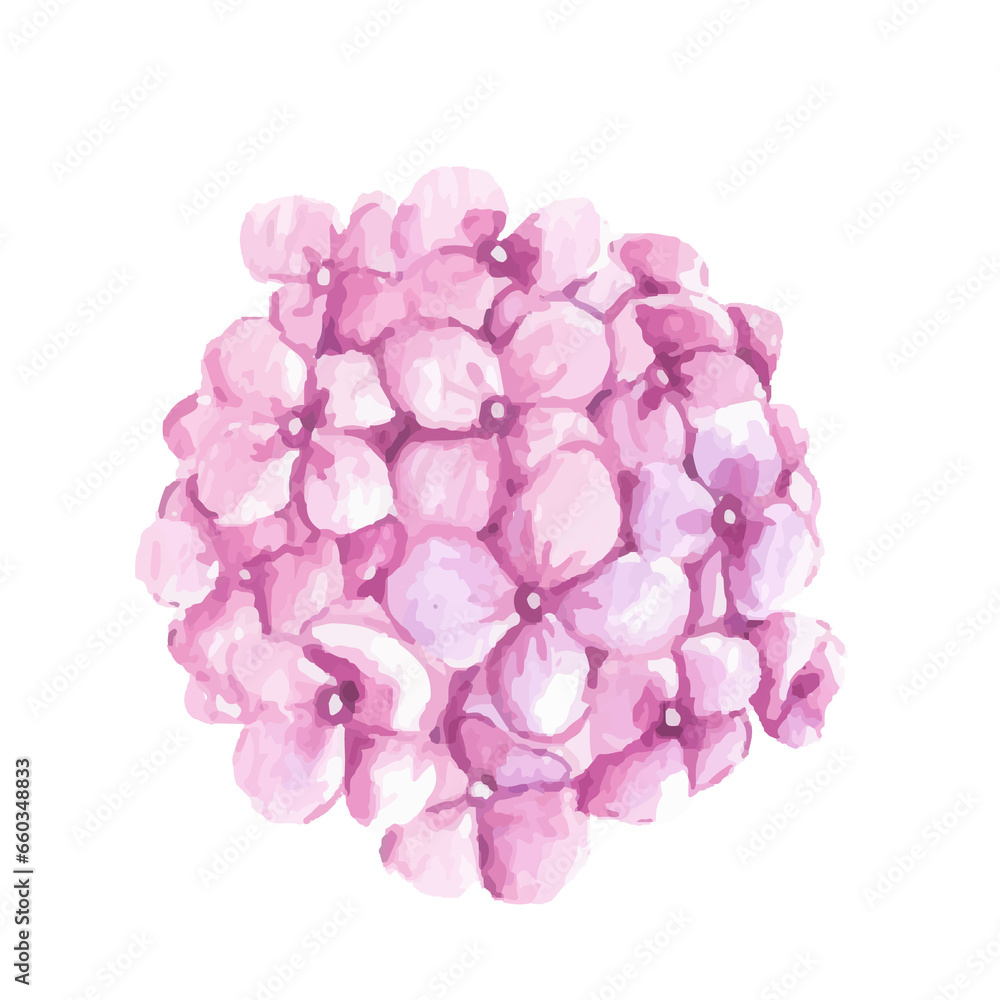 Obraz premium Flower Element Watercolor Illustration