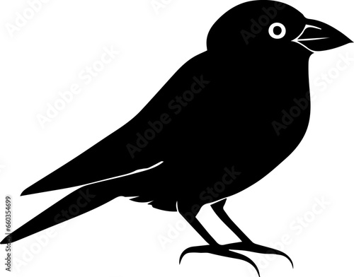 Jackdaw icon 3