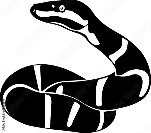 IMG Boa Constrictor icon 3