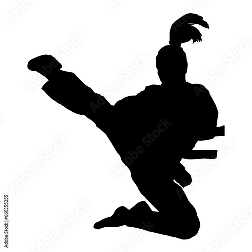 Silhouette of a woman kicking pose. Silhouette of a female martial art in action pose.