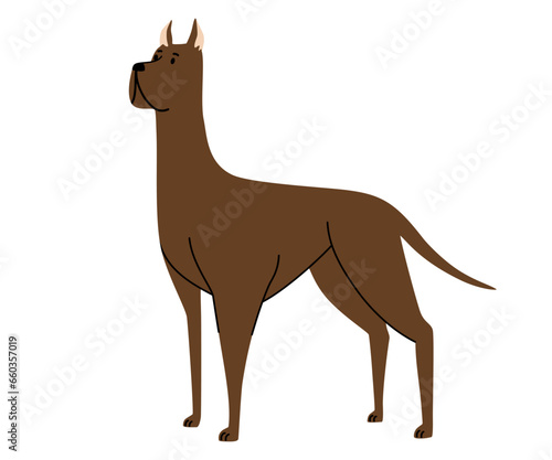 Great Dane dog. Pets  animals  canine theme design element in contemporary simple flat style. Vector cartoon Illustration isolated on the white background.