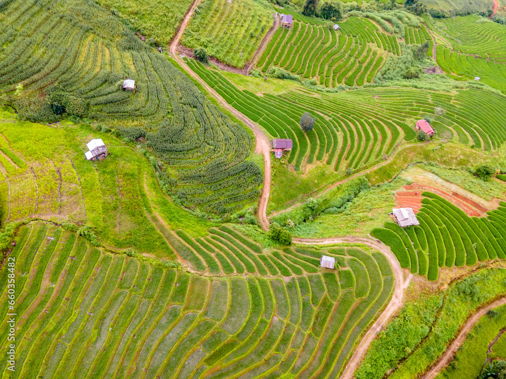 Terraced Rice Field in Chiangmai, Thailand, Pa Pong Piang rice terraces, green rice paddy fields during rain season, drone to view at green rice fields
